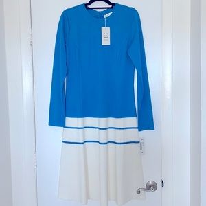 Brand New Long Sleeve Blue & White Dress